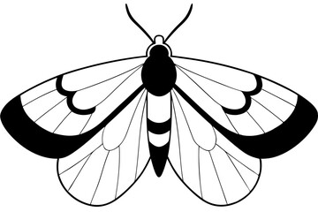 moth silhouette line art vector illustration with a white background