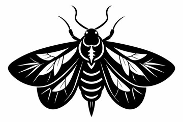 moth silhouette line art vector illustration with a white background