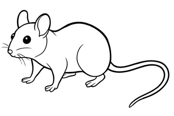 mouse silhouette line art vector illustration with a white background