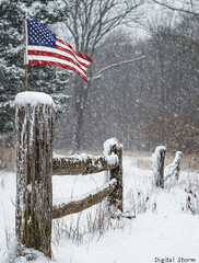 American Independence Day Flag