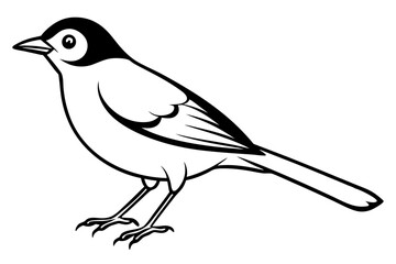 nightingale silhouette line art vector illustration with a white background