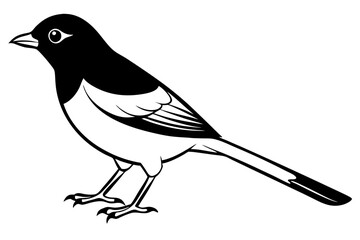 Obraz premium nightingale silhouette line art vector illustration with a white background