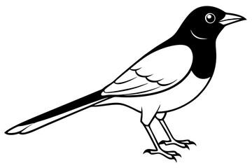 nightingale silhouette line art vector illustration with a white background