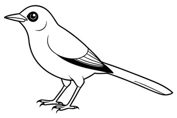 nightingale silhouette line art vector illustration with a white background
