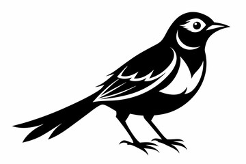 nightingale silhouette line art vector illustration with a white background