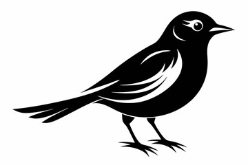 nightingale silhouette line art vector illustration with a white background