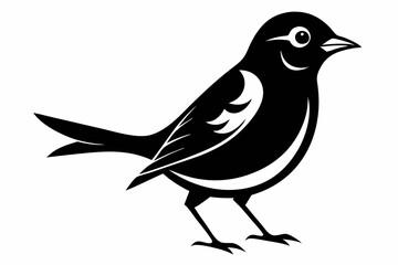 nightingale silhouette line art vector illustration with a white background