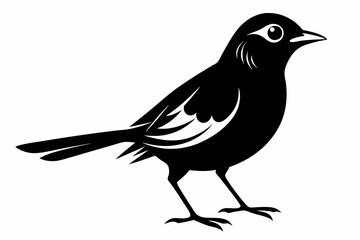nightingale silhouette line art vector illustration with a white background