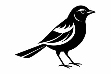 nightingale silhouette line art vector illustration with a white background