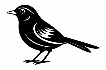 nightingale silhouette line art vector illustration with a white background
