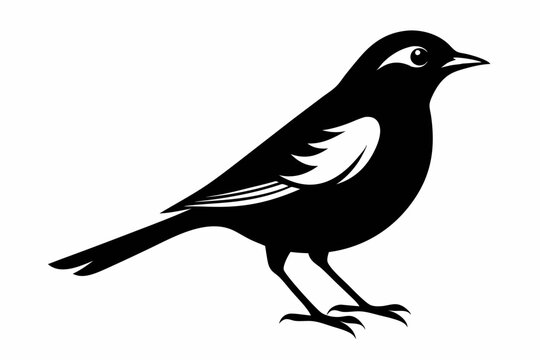 nightingale silhouette line art vector illustration with a white background