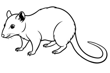 opossum silhouette line art vector illustration with a white background
