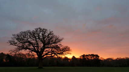 sunrise on southampton common