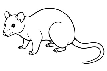 opossum silhouette line art vector illustration with a white background