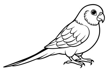 parakeet silhouette line art vector illustration with a white background
