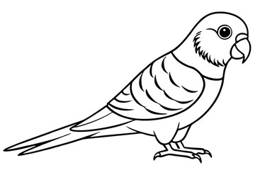 parakeet silhouette line art vector illustration with a white background