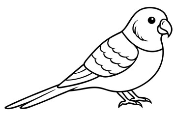 parakeet silhouette line art vector illustration with a white background