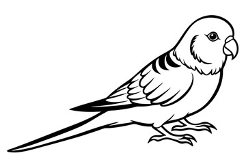 parakeet silhouette line art vector illustration with a white background