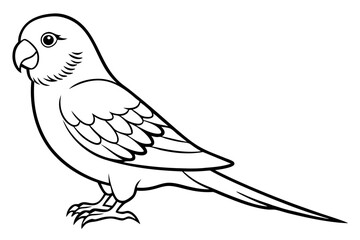 parakeet silhouette line art vector illustration with a white background