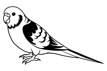 parakeet silhouette line art vector illustration with a white background