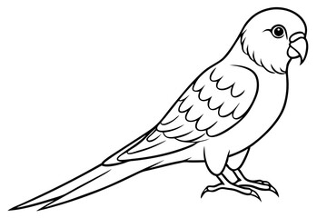 parakeet silhouette line art vector illustration with a white background