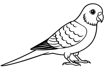 parakeet silhouette line art vector illustration with a white background
