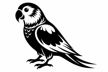 parakeet silhouette line art vector illustration with a white background
