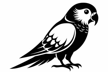 parakeet silhouette line art vector illustration with a white background