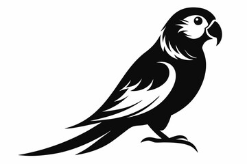 parakeet silhouette line art vector illustration with a white background