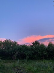 The sky is painted with vibrant shades of pink as the sun sets behind trees in a tranquil garden. The soft colors create a serene atmosphere during the evening hours