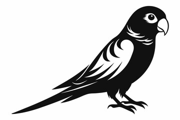 parakeet silhouette line art vector illustration with a white background