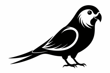 parakeet silhouette line art vector illustration with a white background