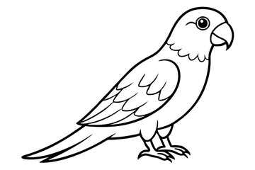 parrot silhouette line art vector illustration with a white background