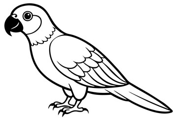 parrot silhouette line art vector illustration with a white background