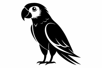 parrot silhouette line art vector illustration with a white background