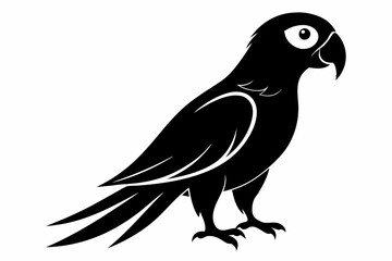 parrot silhouette line art vector illustration with a white background