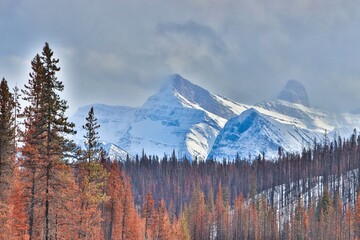Jasper, Alberta, Canada