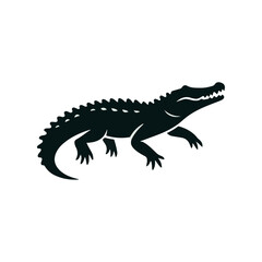 Crocodile on white background close-up, isolated reptile with brown and green details