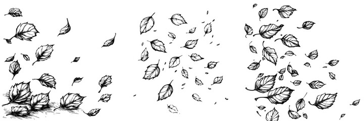 Obraz premium Leaves swirl in the autumn breeze creating a dance of nature at the edge of a quiet forest
