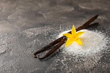 Aromatic vanilla sugar. Vanilla pods. Vanilla sticks, brown and white sugar in a bowl on a textured background. Vanilla flowers, spices and herbs for desserts and baking. Space for text. Copy space