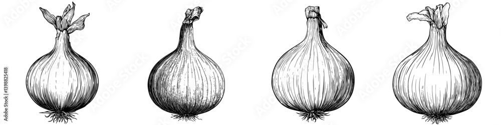 Poster onions sketched in various views displaying their round shape and textured skin in black and white i
