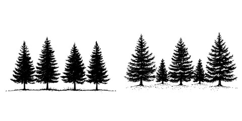Obraz premium Collection of silhouettes depicting various conifer trees in a forest setting