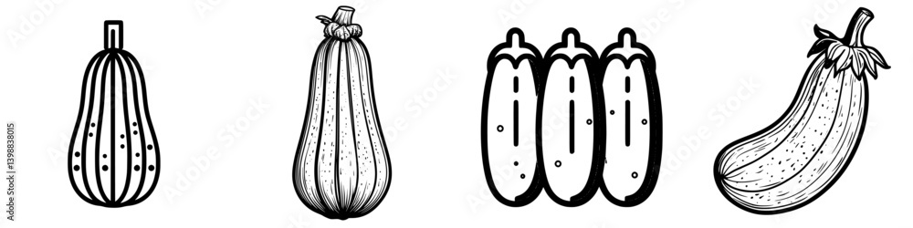 Poster various types of squash displayed in a black and white illustration featuring distinctive shapes and