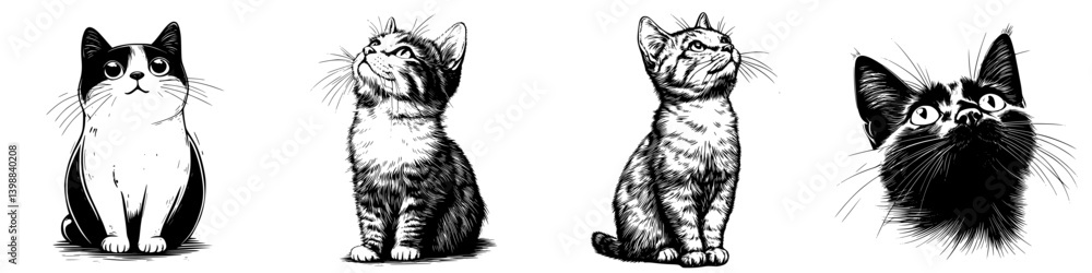Poster various sketches of cats showcasing their unique poses and expressions in a minimalist style