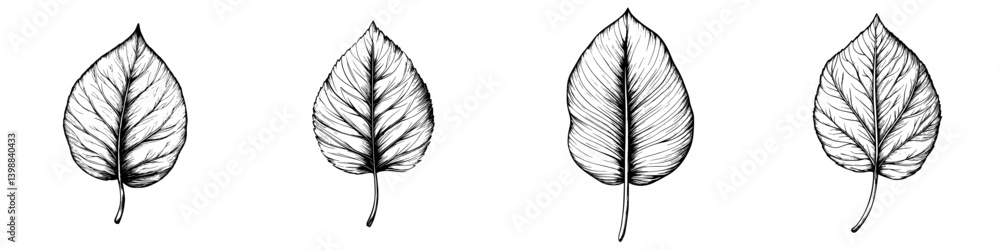 Poster detailed illustration of four leaves showing unique patterns and textures arranged in a row