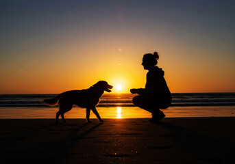Backdrop of sunset at the beach featuring both dog and owner enjoying their time together