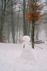 Snowman with a carrot nose stands in a snowy forest against the background of a gazebo
