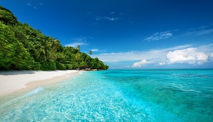 Obraz premium pristine tropical beach with clear waters and lush greenery under bright blue sky