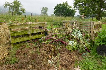 home composting in the garden. compost pile made from pallets with crop residues from the garden.