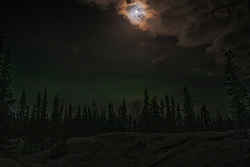 The spectacular Northern Lights (Aurora Borealis) in winter over Yellowknife, Northwest Territories, Canada